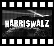 Hollywood sign Harris Walz 2024 white print on black t-shirt